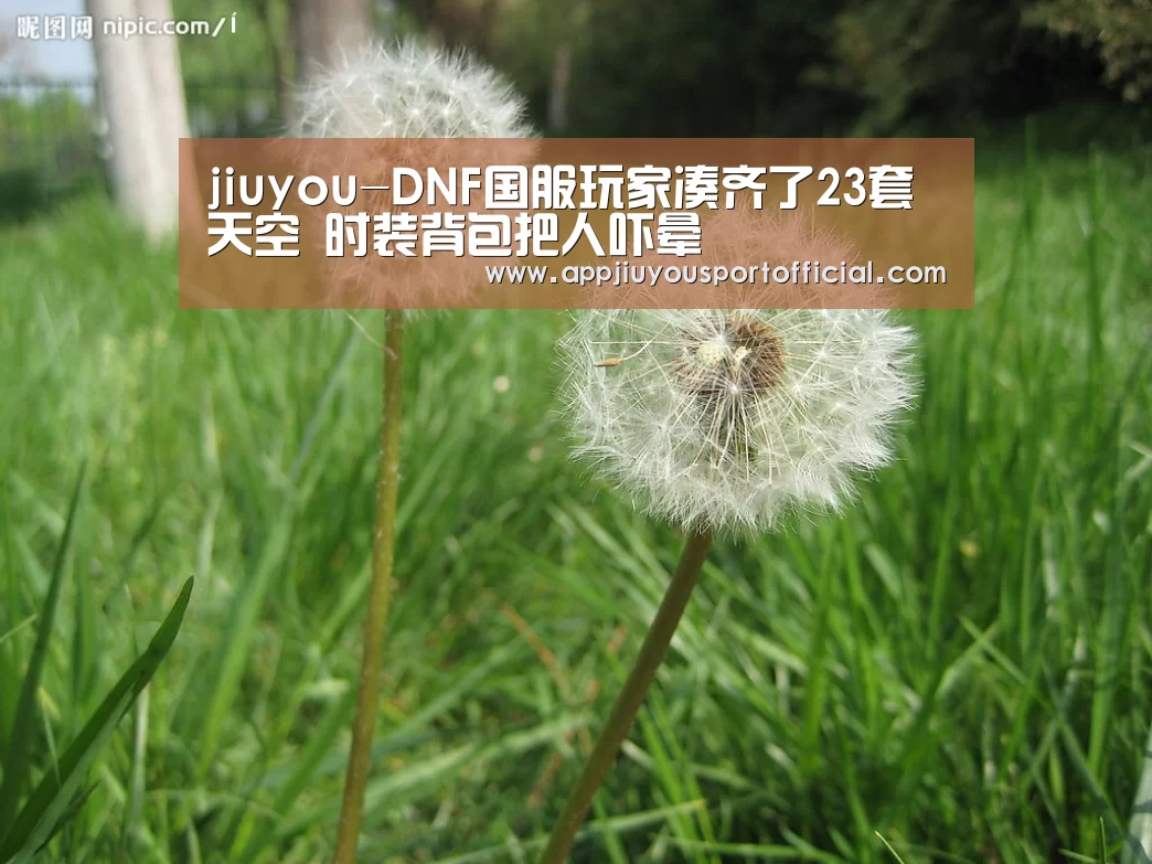 九游官网