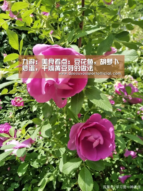 九游