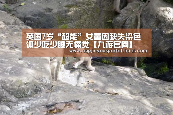 九游app